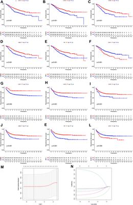 Pyroptosis-Related Signature as Potential Biomarkers for Predicting Prognosis and Therapy Response in Colorectal Cancer Patients